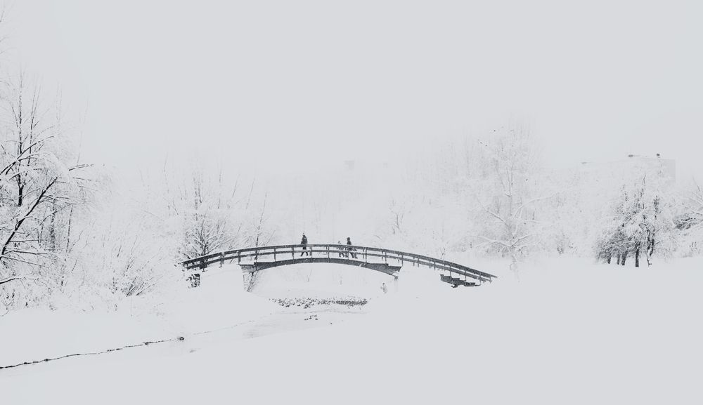 Фотография автора Николай Майоров