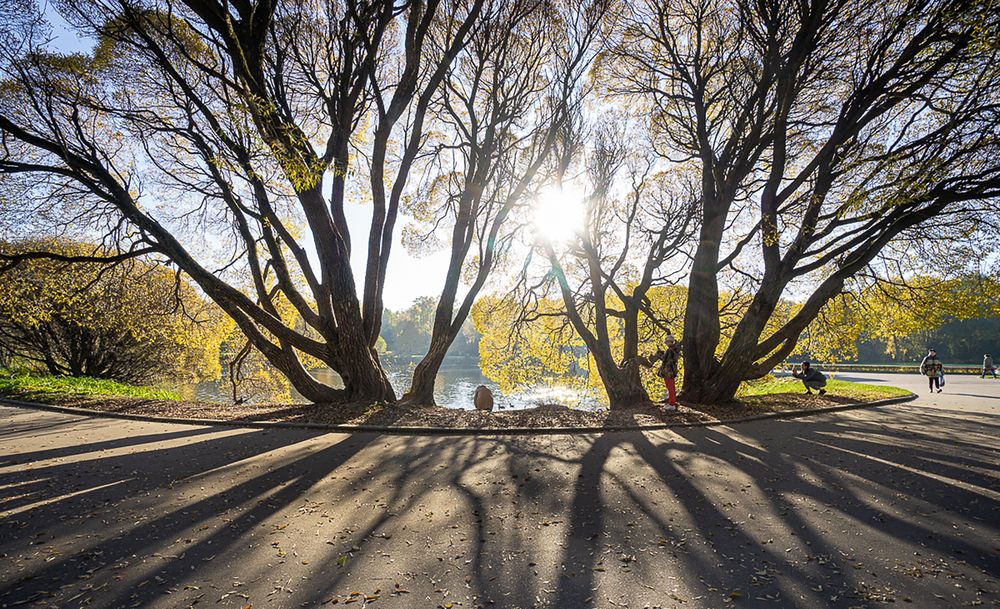 Фотография автора Николай Майоров