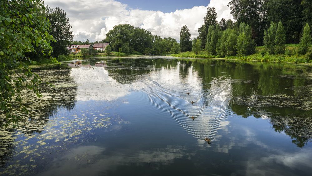 Фотография автора Татьяна Добровольская