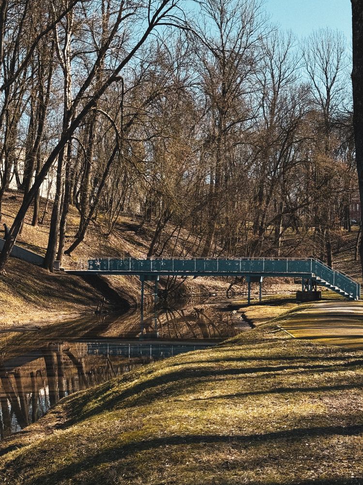 Photograph by Ирина Богоносова