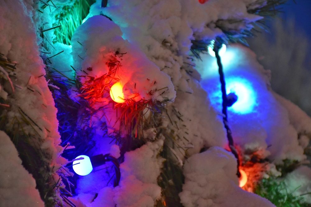 Photograph by Нина Кольман