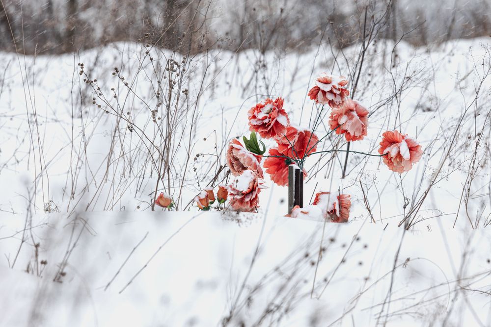 Фотография автора Ирина Гриценко