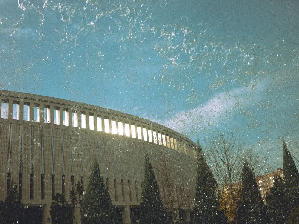 Фотография автора Виктория Ступина