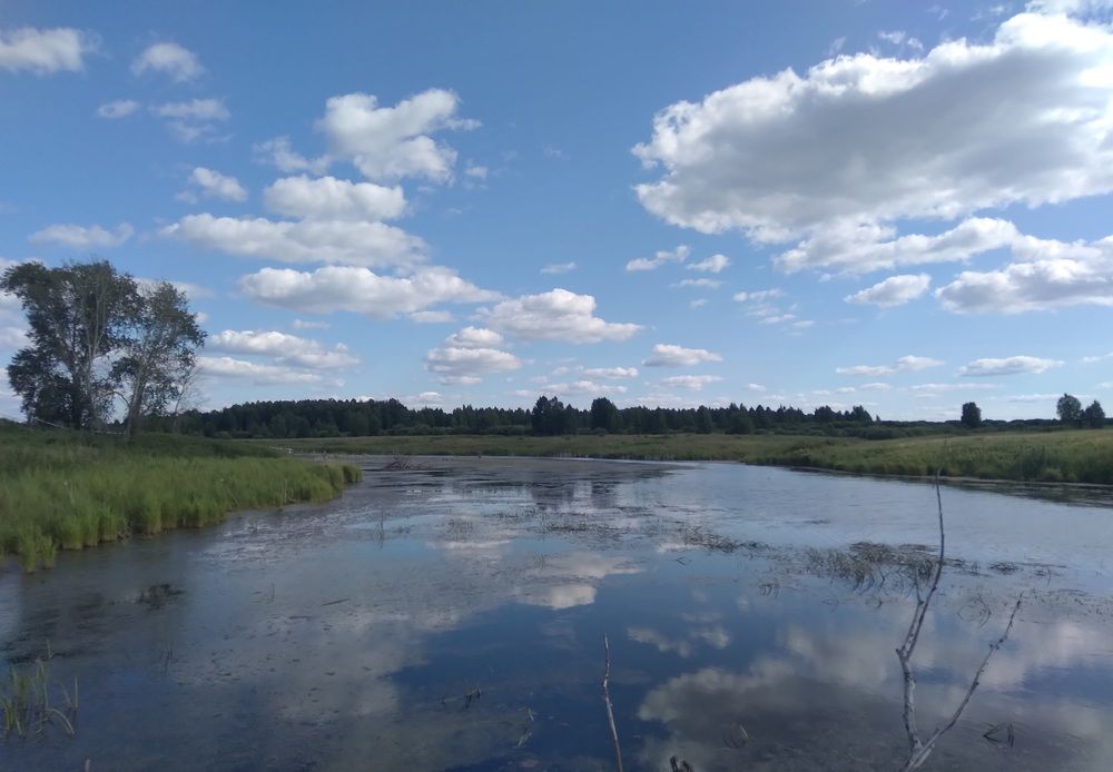 Photograph by Лида