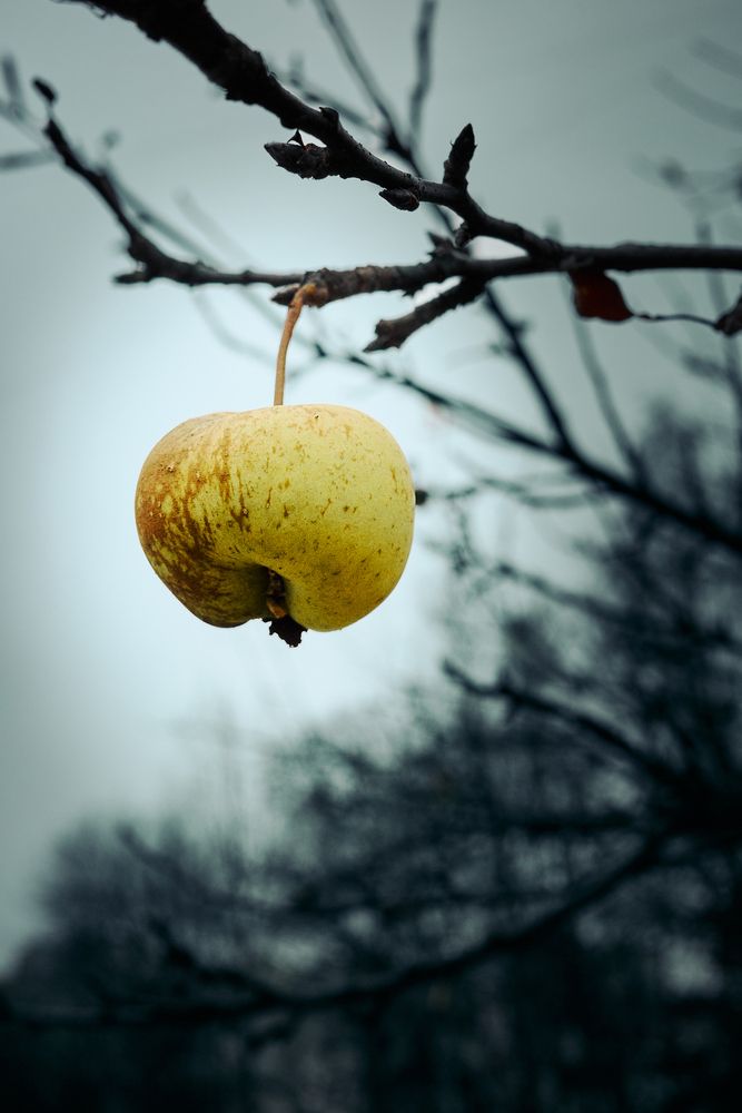 Photograph by Станислав Рауда