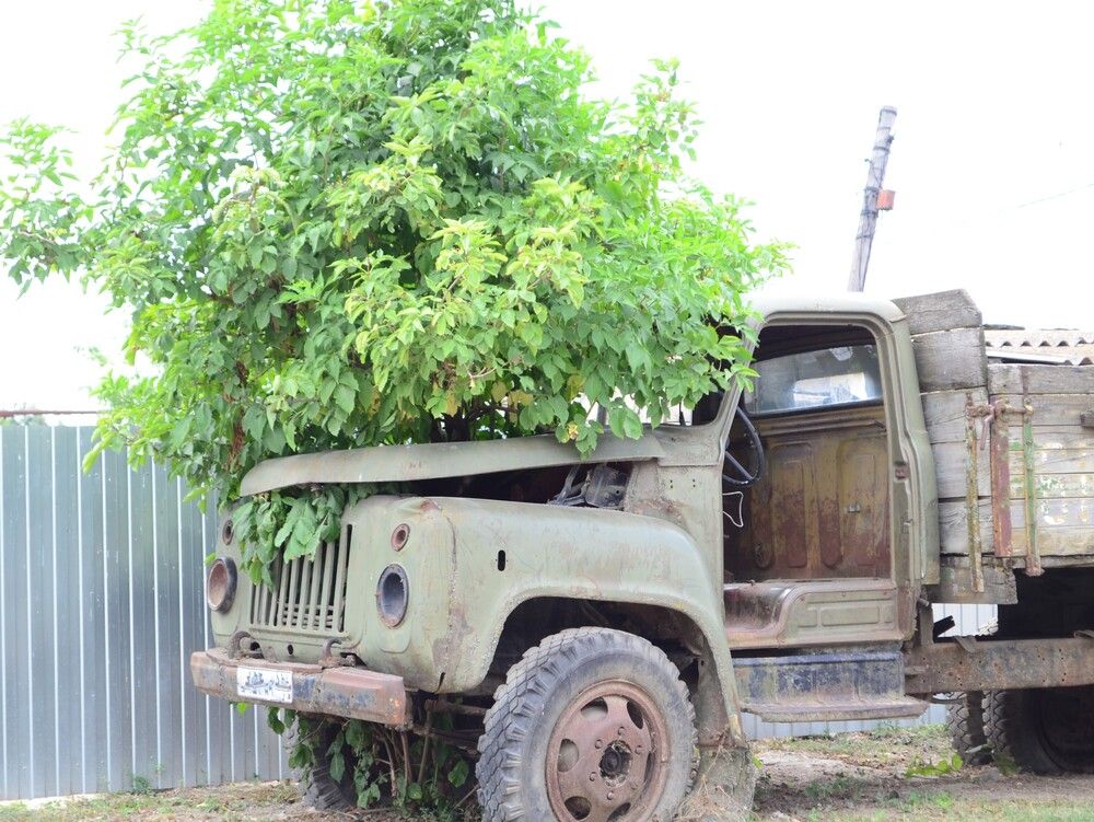 Photograph by Валерий Калинов