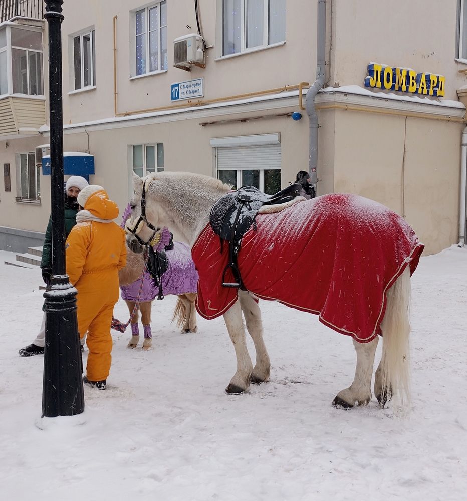 Photograph by Татьяна Кунц