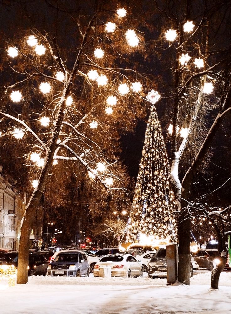 Photograph by Tatiana