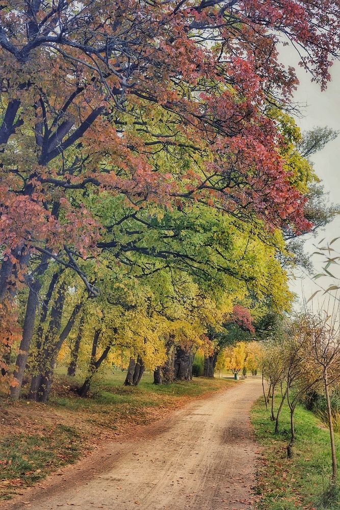 Photograph by Александра Кропивка