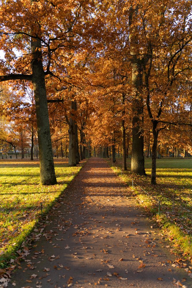 Photograph by Александр Кочергин