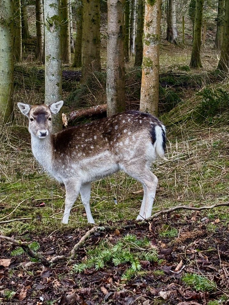 Photograph by Sandra Bruttomesso