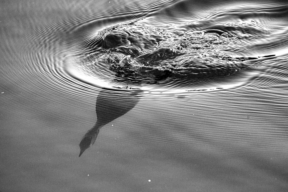 Погружение