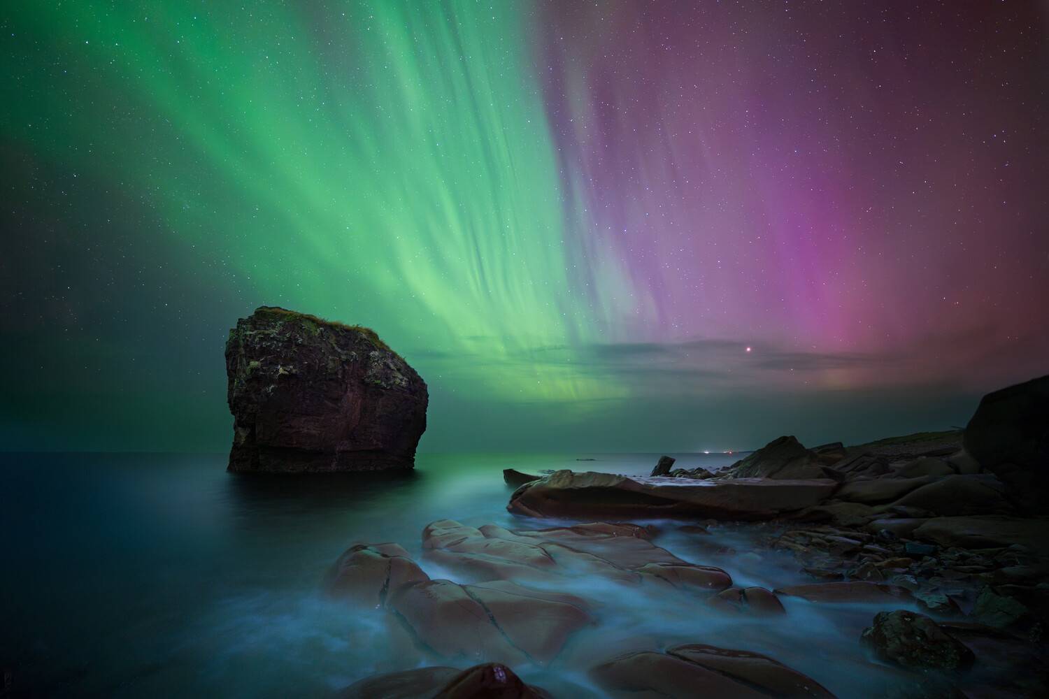 Фотография #13049427