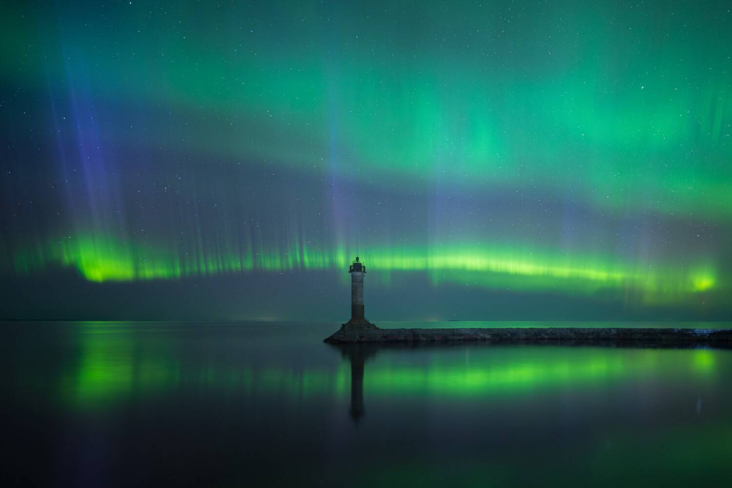 Фотография #13049429