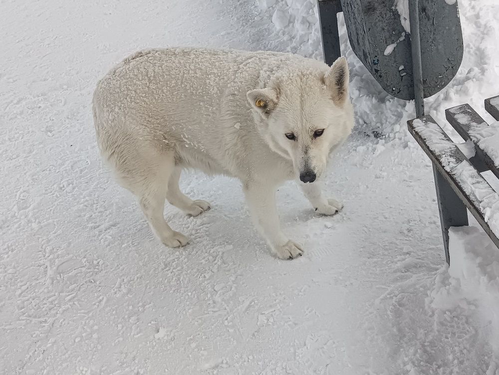 Photograph by Настя Настена