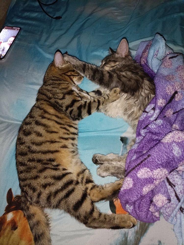 Photograph by Настя Настена