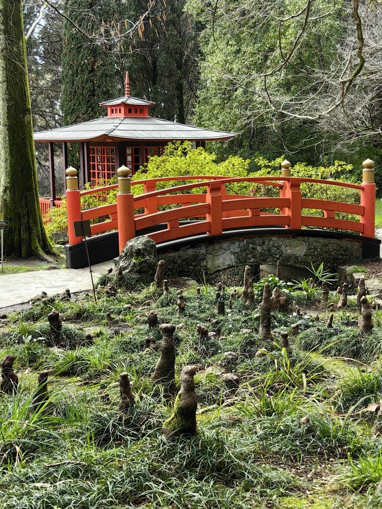 Photograph by OLGA MIKHNEVICH