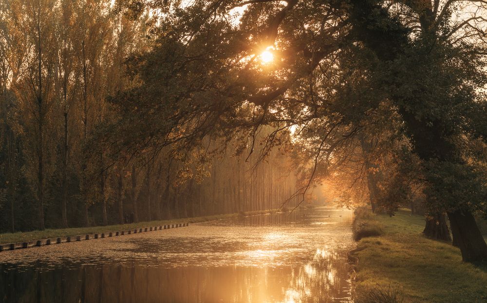 Photograph by Lara Iris