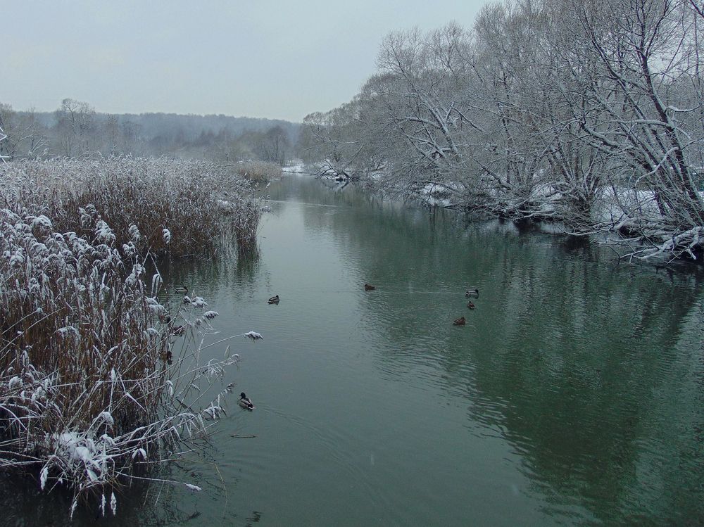 Photograph by Алена