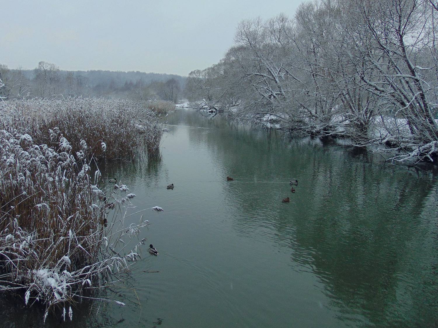 Фотография #13049552