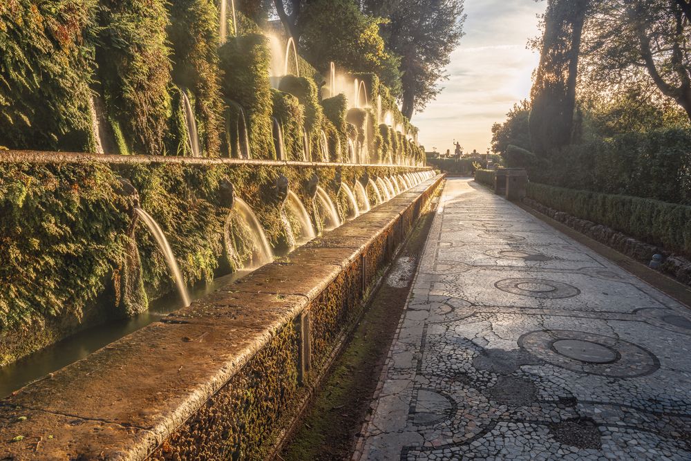 Фотография автора Lara Iris