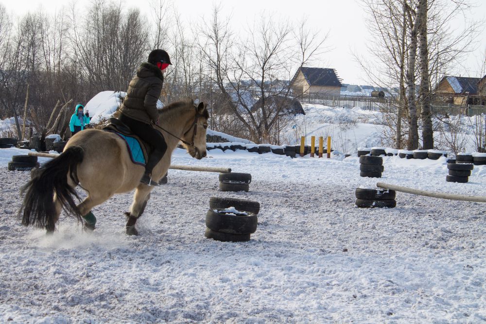 Фотография автора Дарья Рогозина