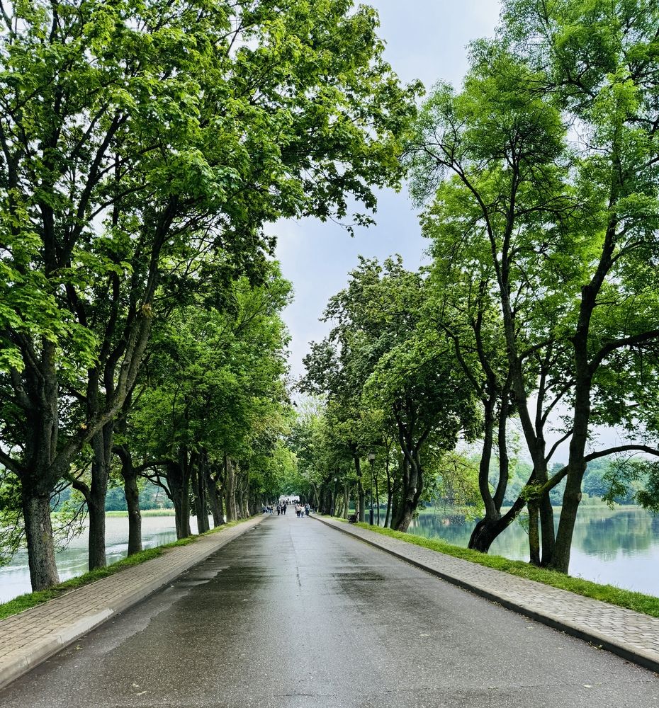 Photograph by Лейсан