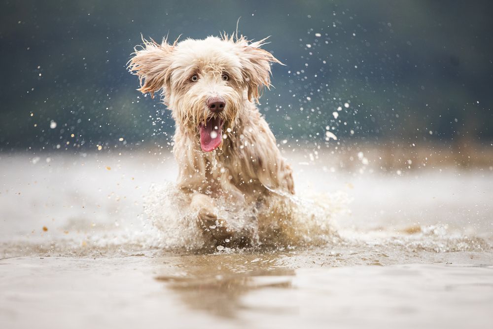 Water fun
