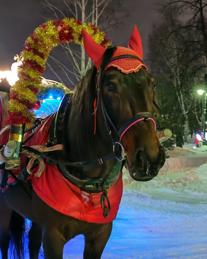 Photograph by Альбина Майкова