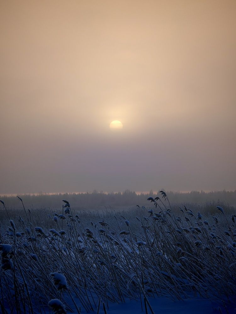 Photograph by Ольга