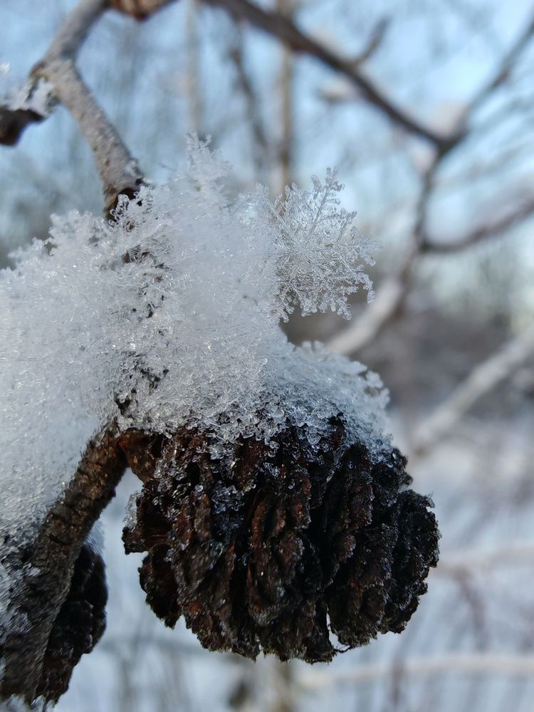 Photograph by Ольга