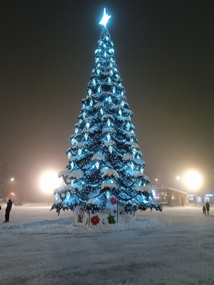 Photograph by Светлана