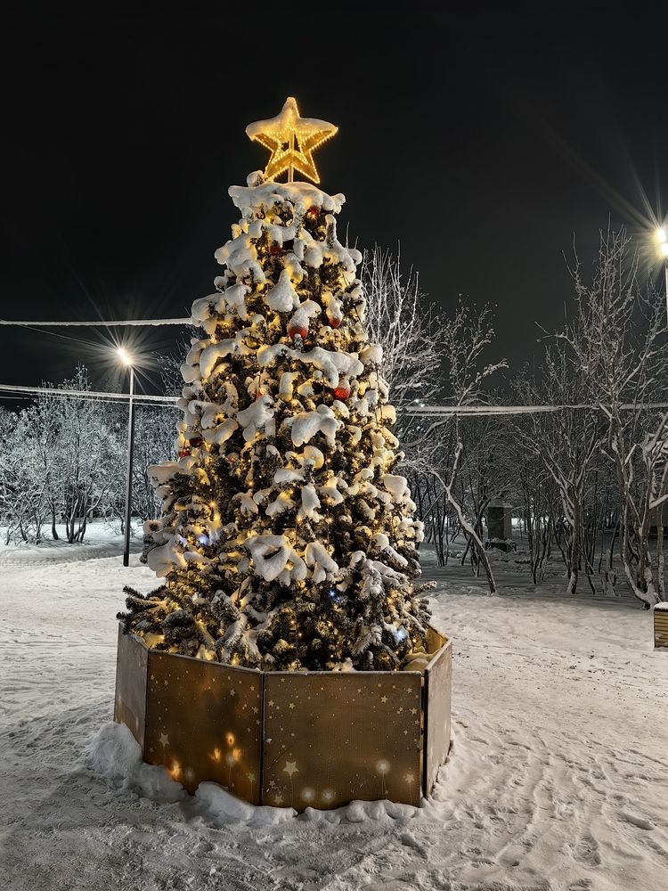 Фотография автора Sparc-jr