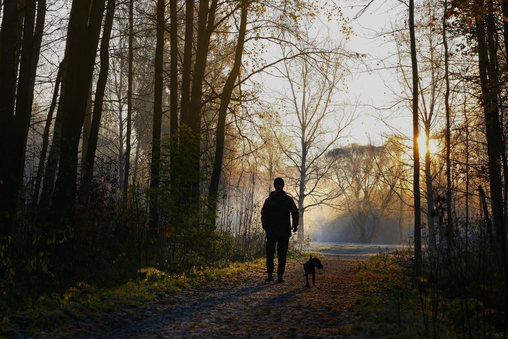 Photograph by Яна Егорова