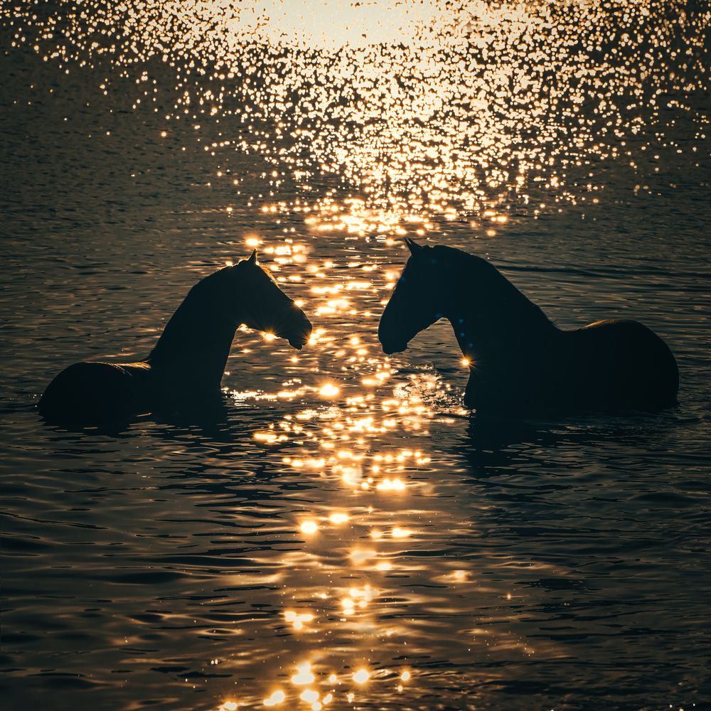 One milion diamonds in the heard