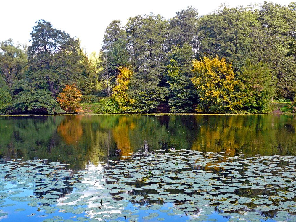 Photograph by Ольга Владимировна Мухина