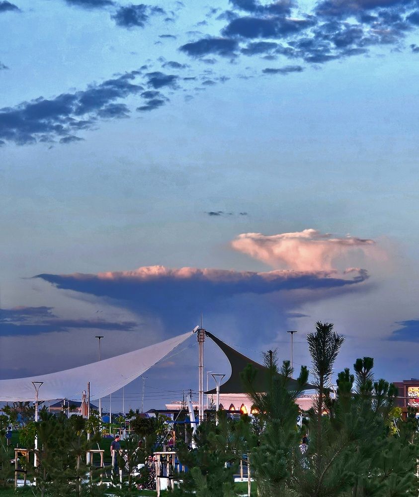 Photograph by Alena Redko