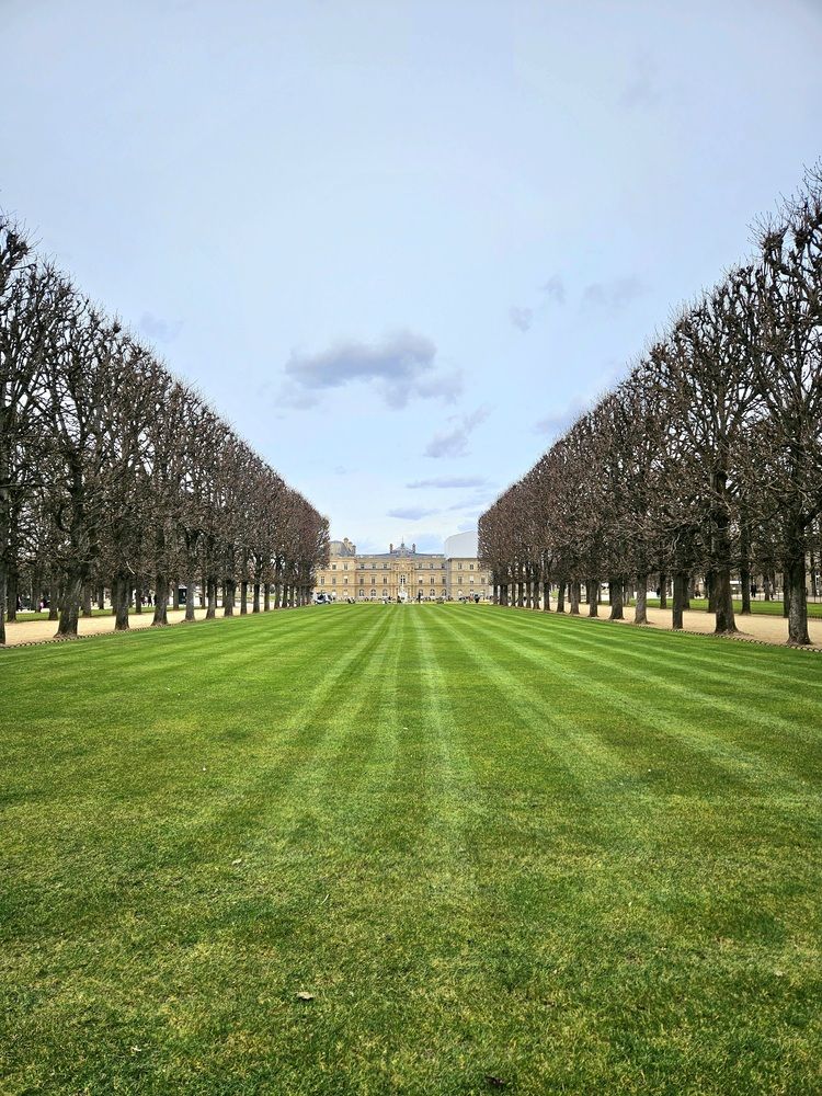 Фотография автора Elena Polonetskaya