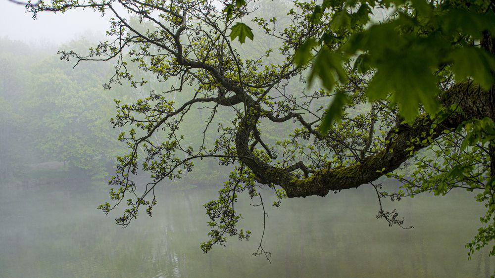 Photograph by Роман Чернышов
