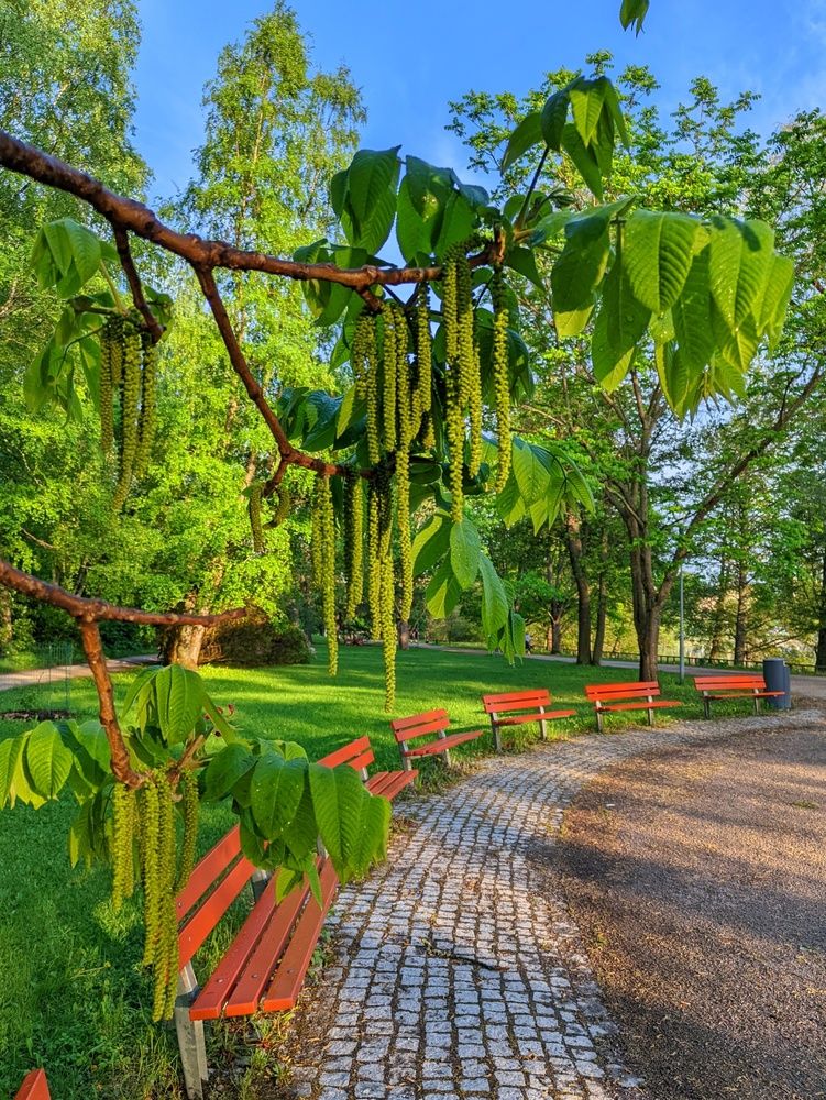 Фотография автора OLga Piirainen