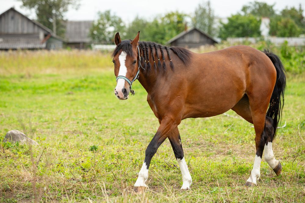 Фотография автора Алексей