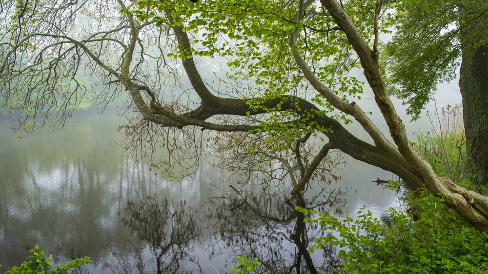 Photograph by Роман Чернышов