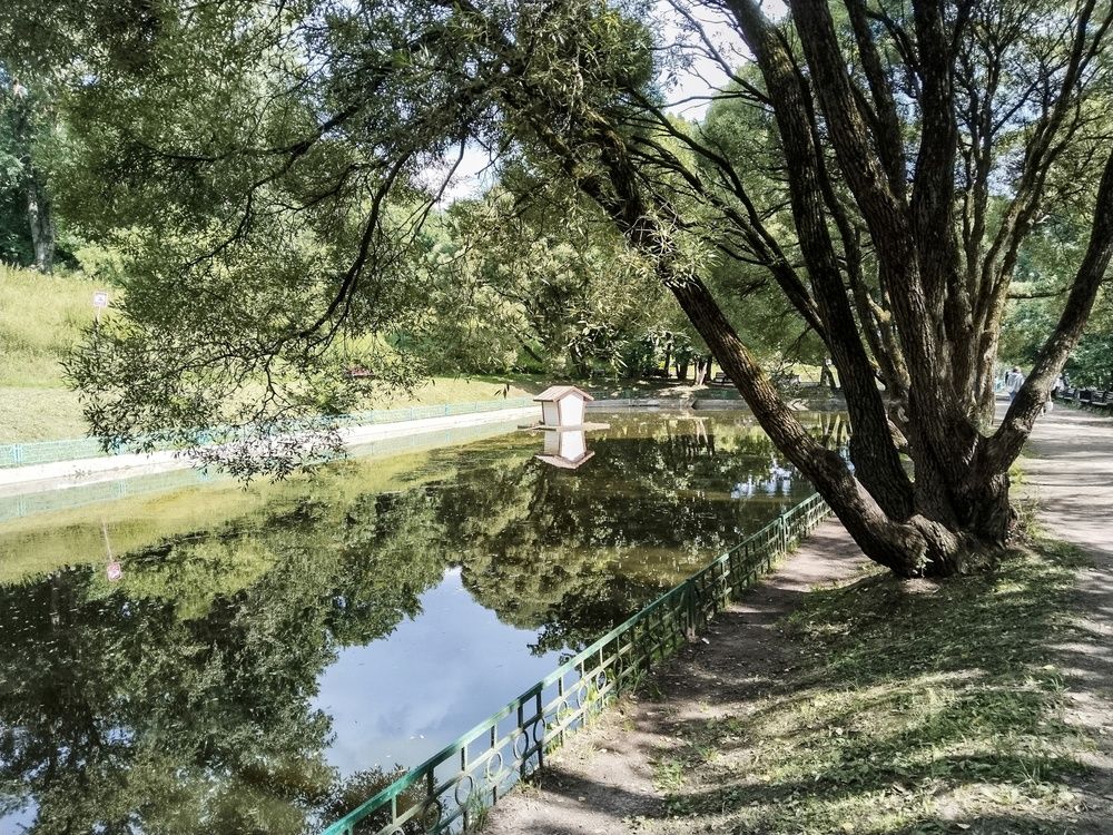 Photograph by Sergey Kurkov-Tarkovsky