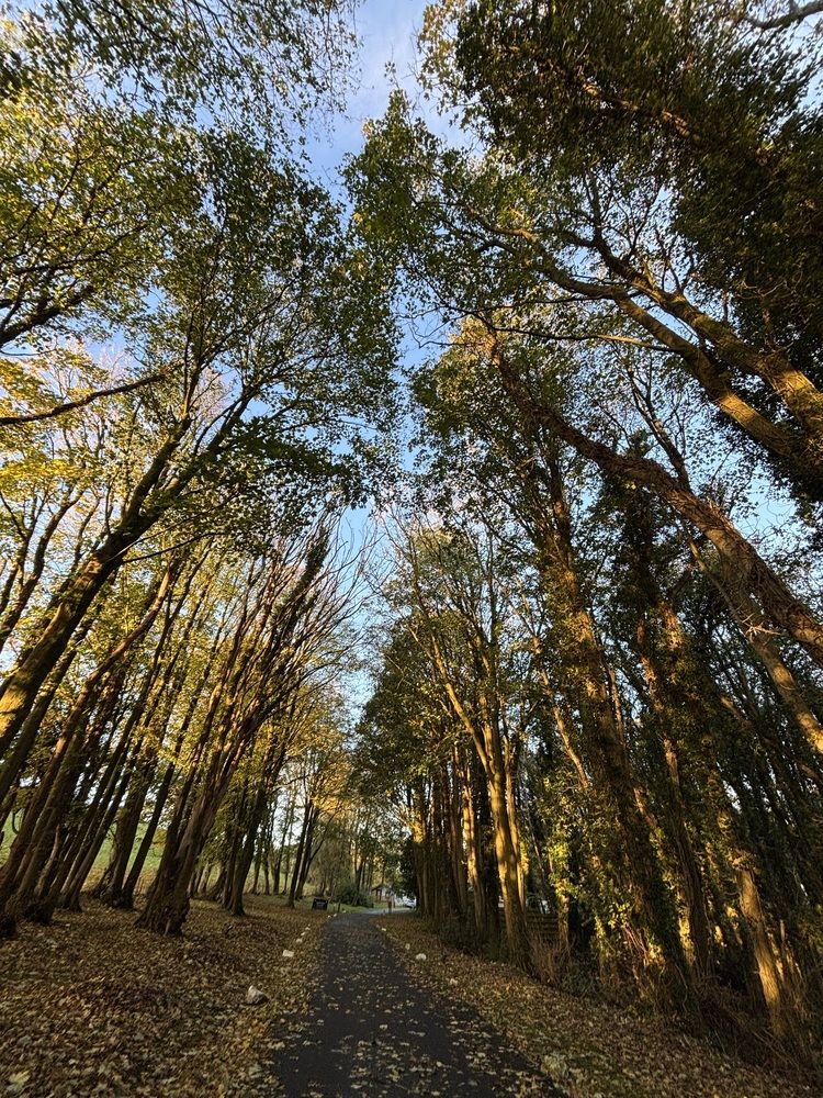 Photograph by Sandra Bruttomesso