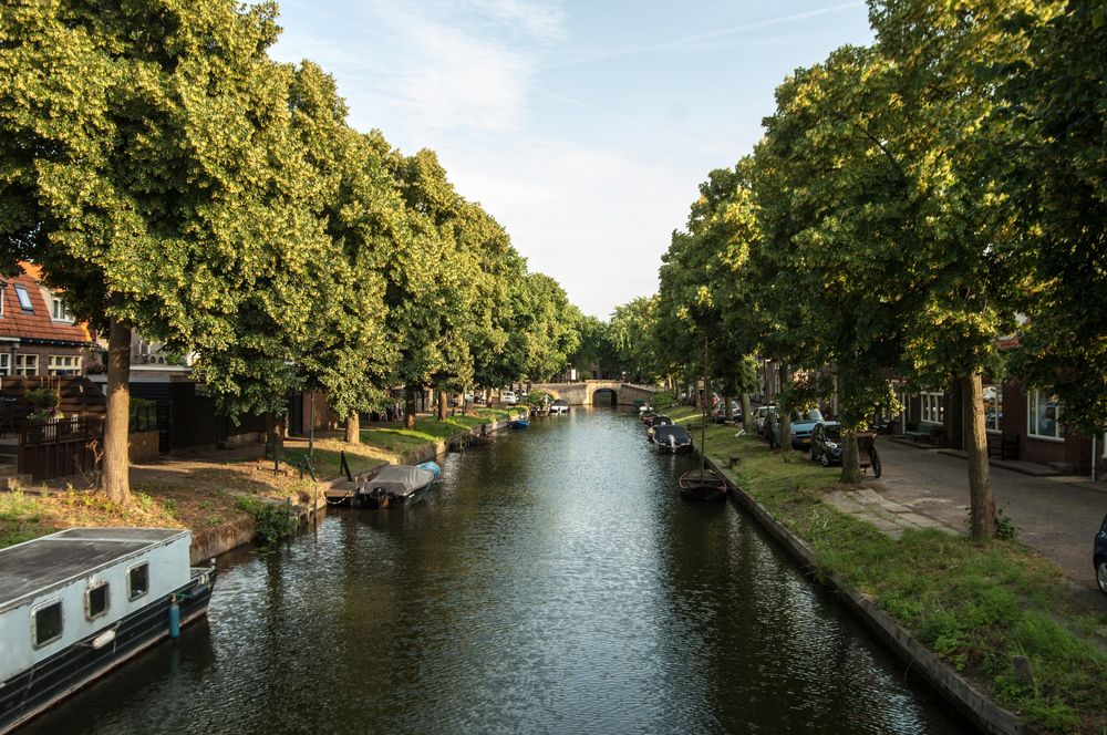 Фотография автора Chorche Prigo