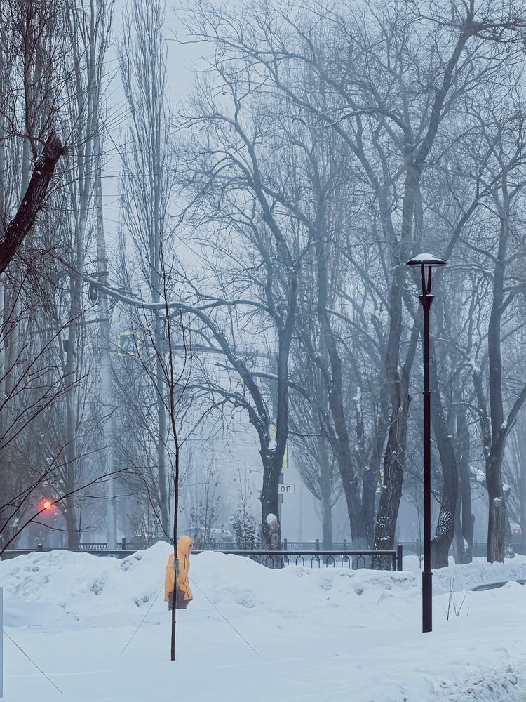 Photograph by Алексей Титков