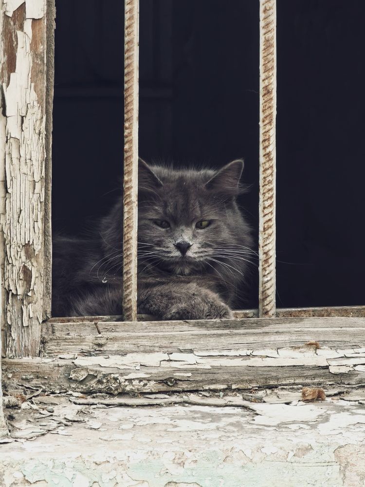 Photograph by татьяна