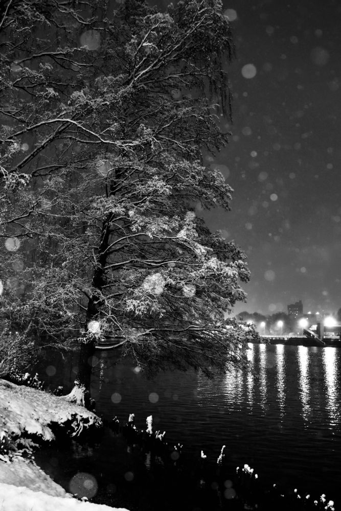 Фотография автора Alina Efimova