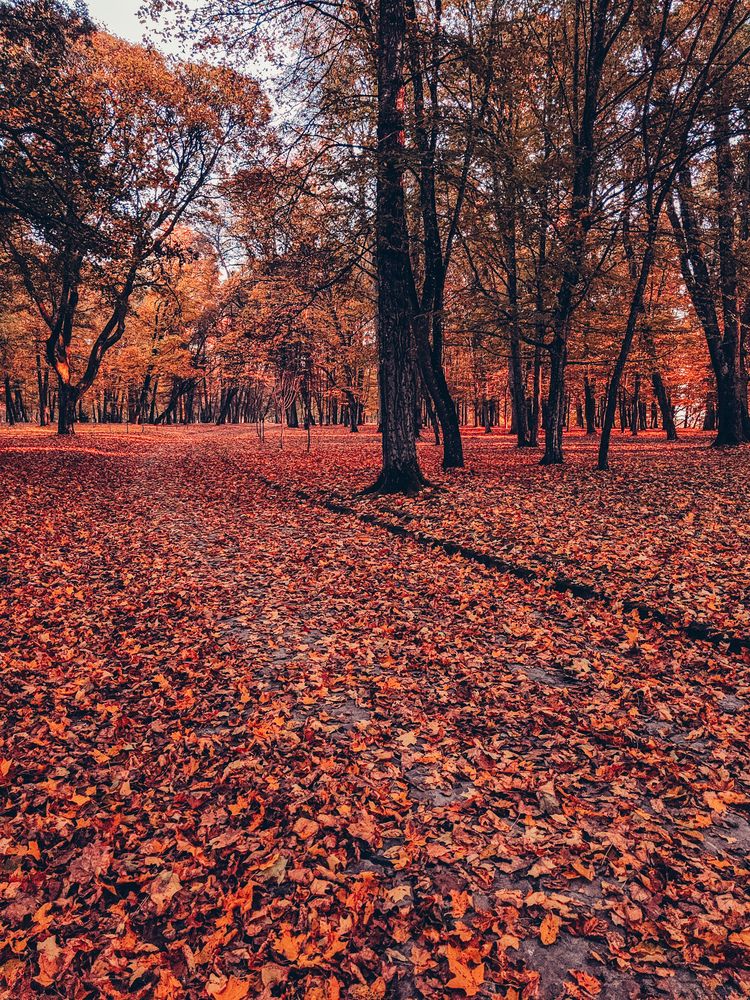 Photograph by Татьяна