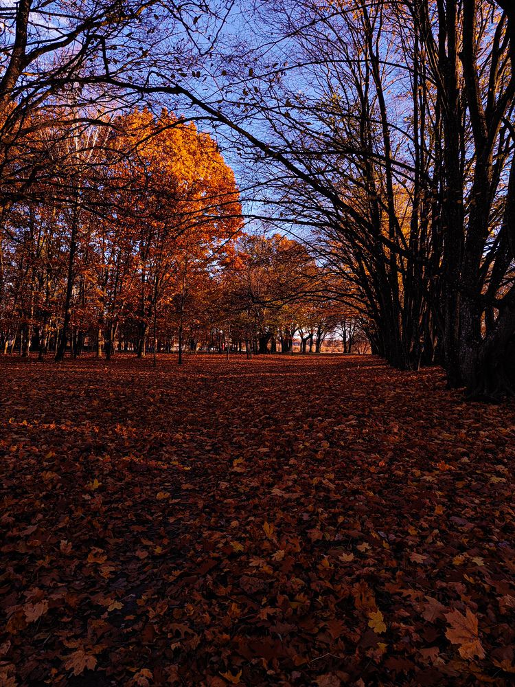 Photograph by Татьяна